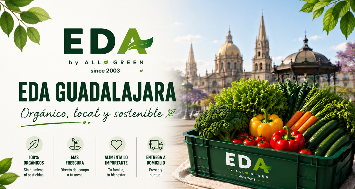 PAQUETE EDA GUADALAJARA