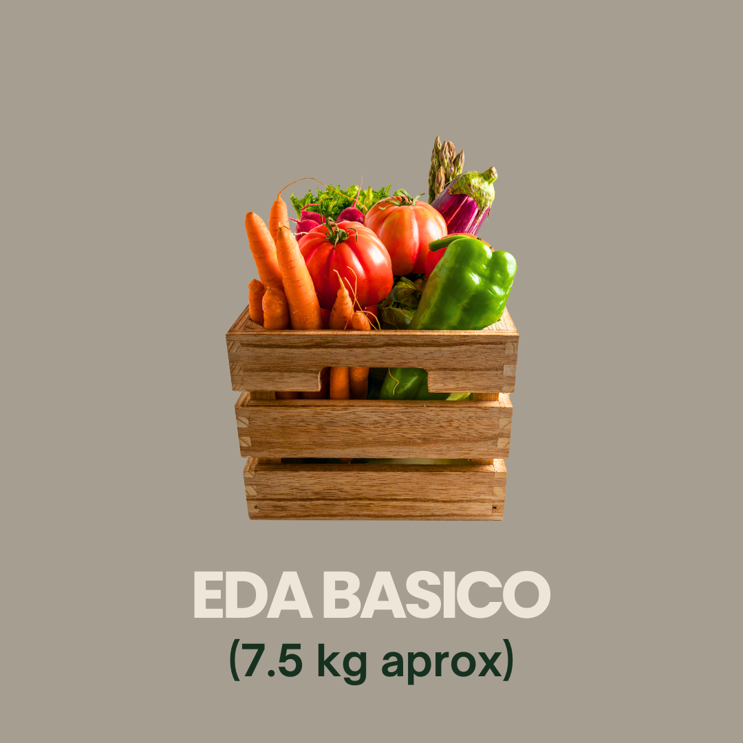 BASICO MENSUAL