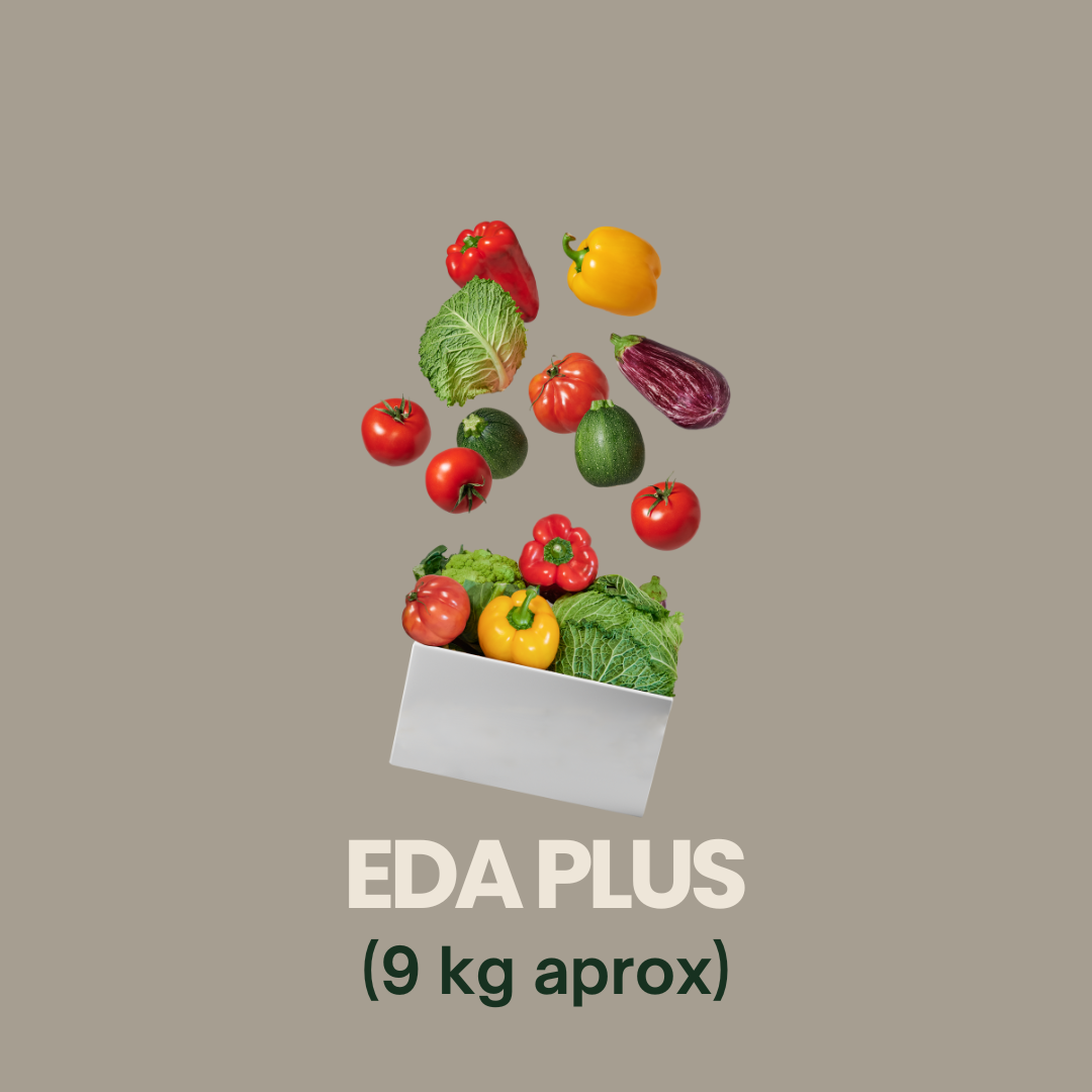 PLUS MENSUAL