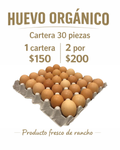 CARTERA DE HUEVO ORGANICO