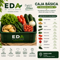 EDA BOX BASICA