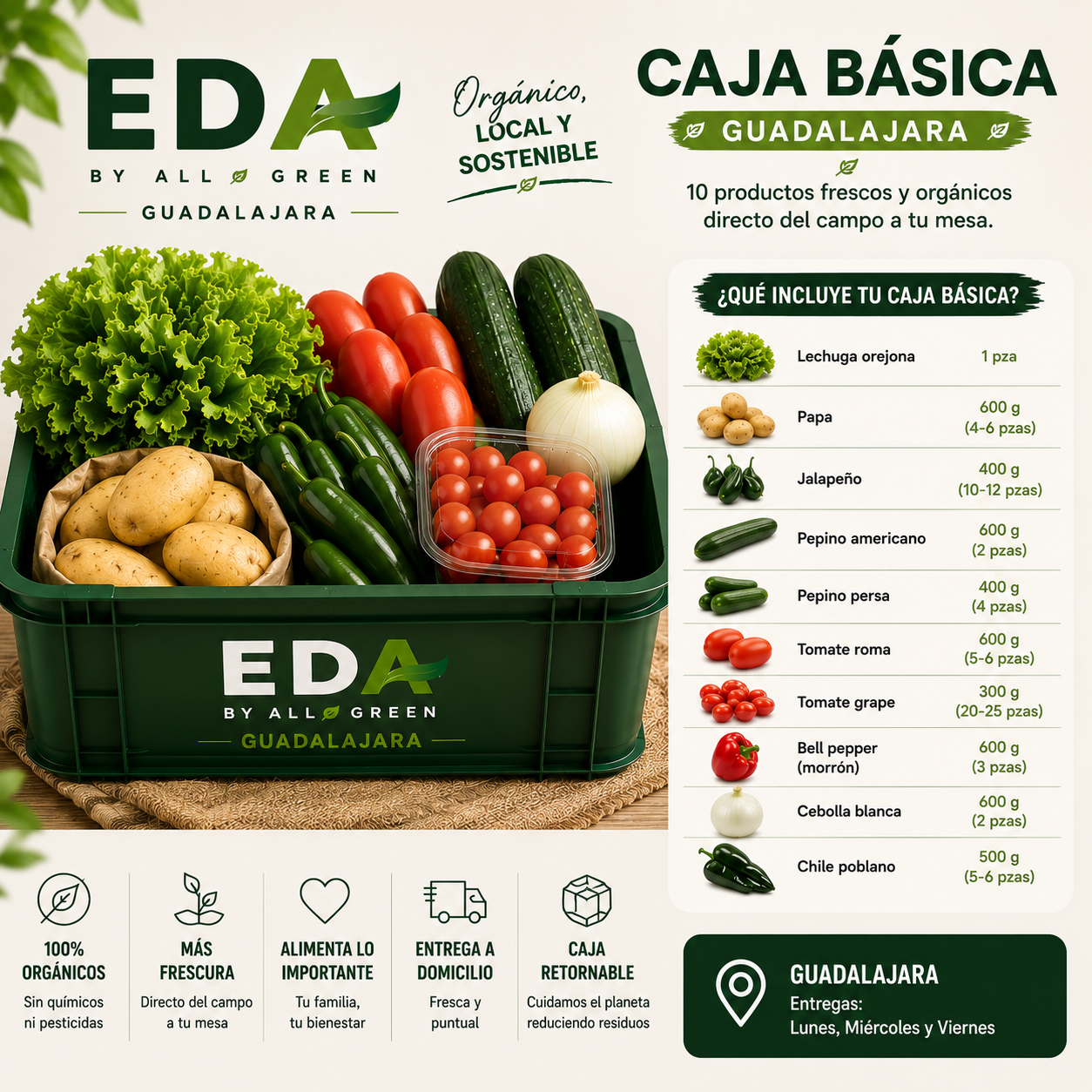 EDA BOX BASICA