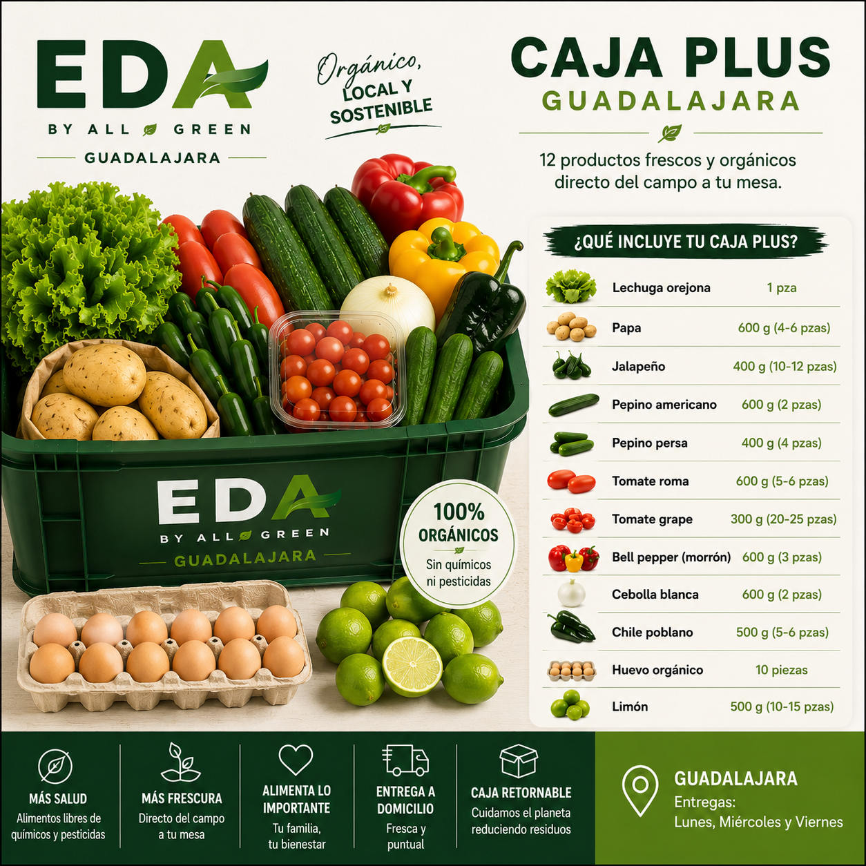 EDA BOX PLUS